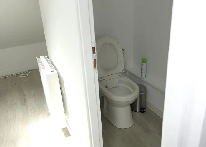 Διαμέρισμα : Superbe Hyper Centre En Duplex Ντιζόν